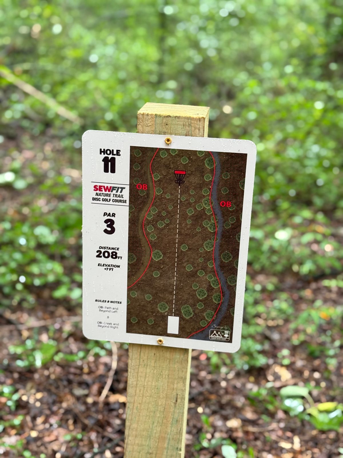 Hole 11