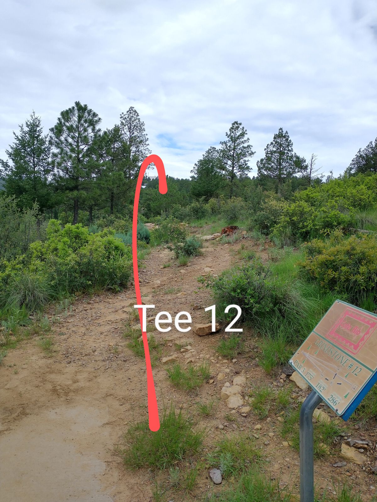 Tee 12, basket short over the hill.
