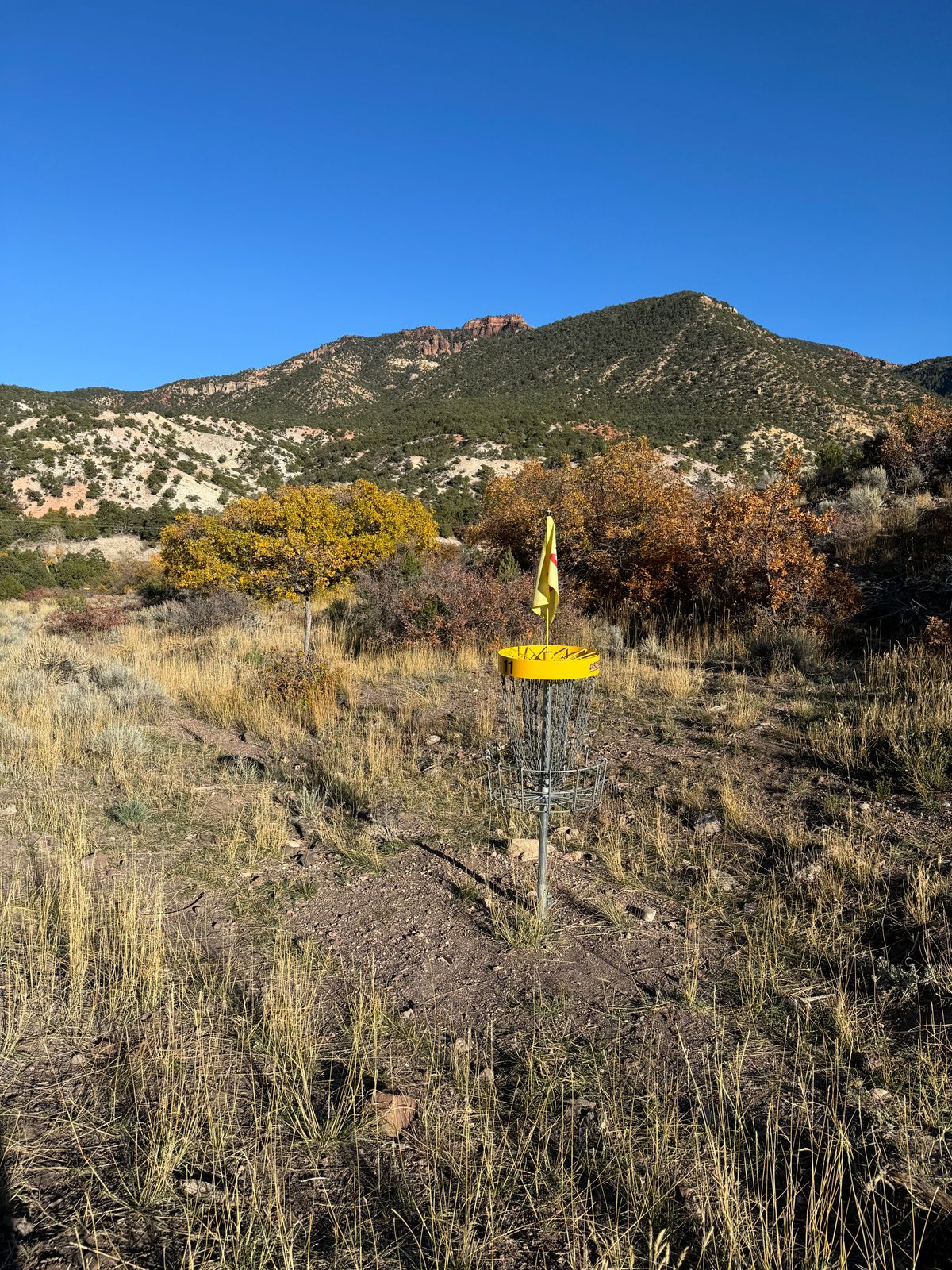 Hole 11 basket.