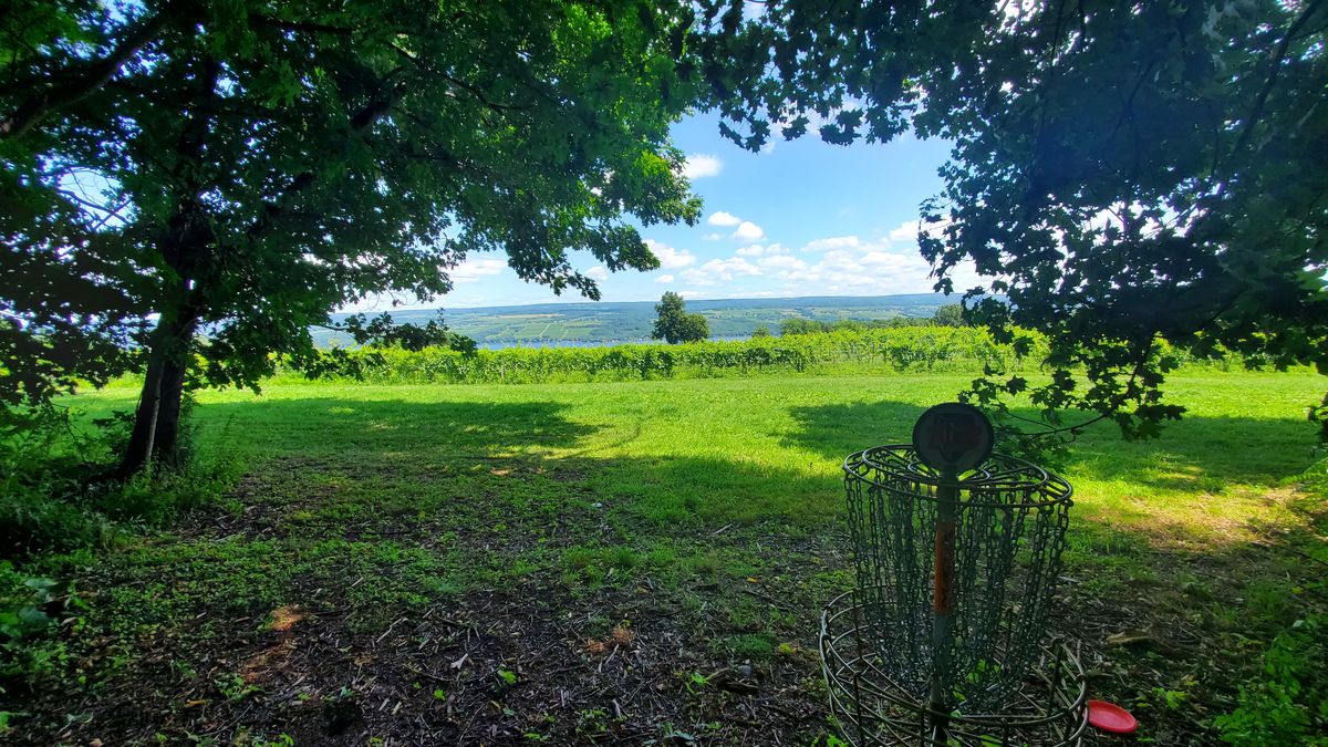 13s basket overlooking the vineyard and lake