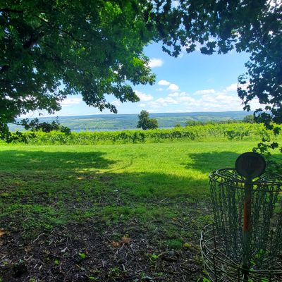 13s basket overlooking the vineyard and lake