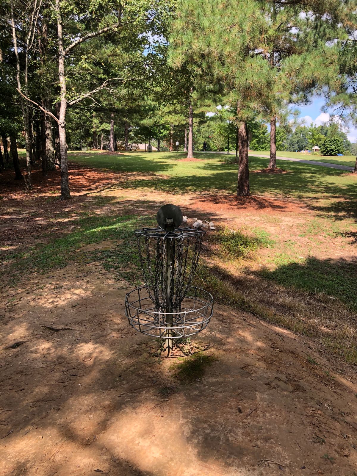 Hole 5 cage