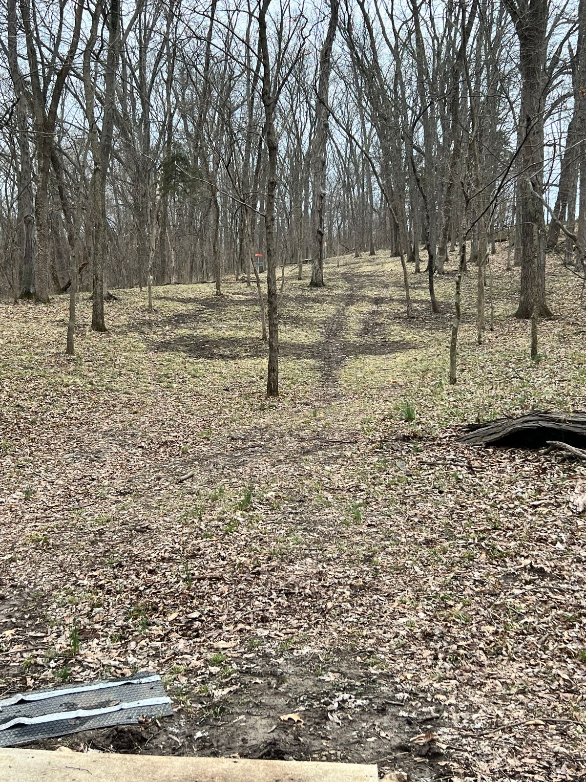 O6b.  Long way down the hill on left