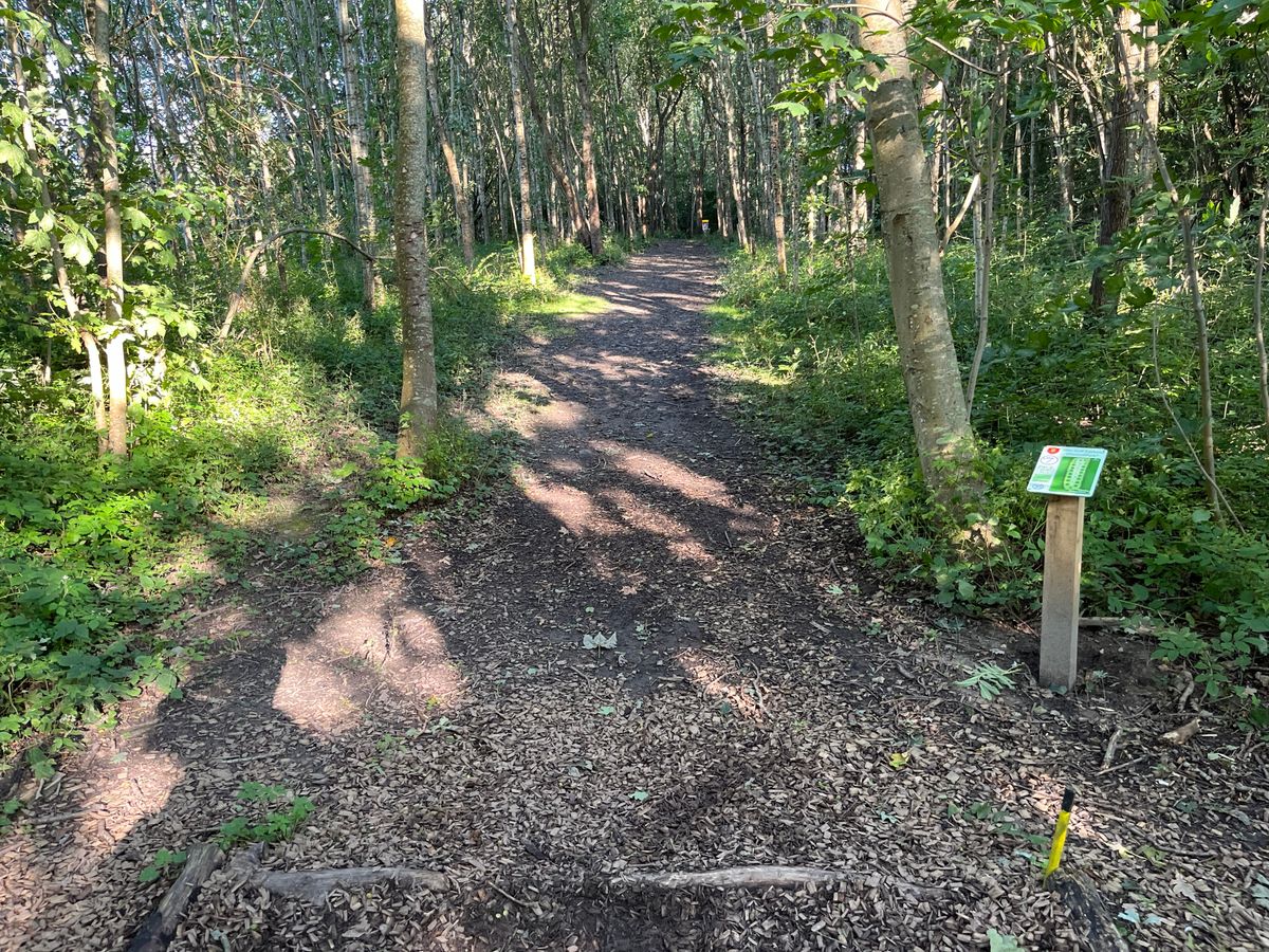 Hole 7