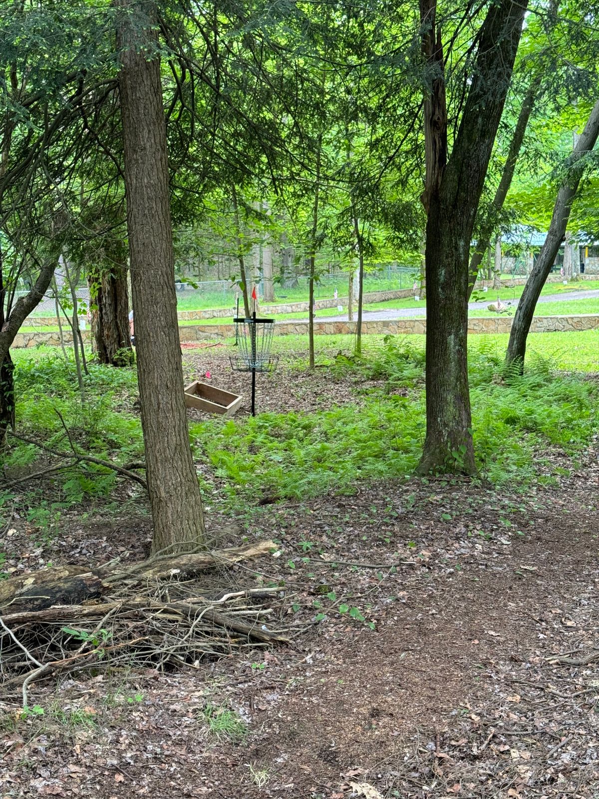 Hole 2 basket.