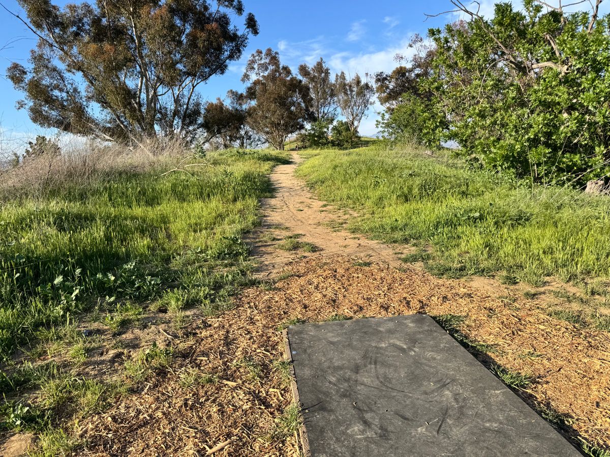 3 tee box