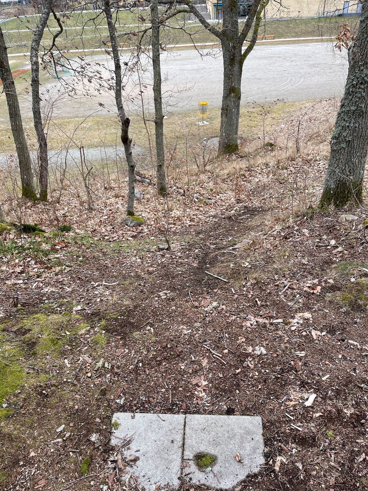 6:de hålet