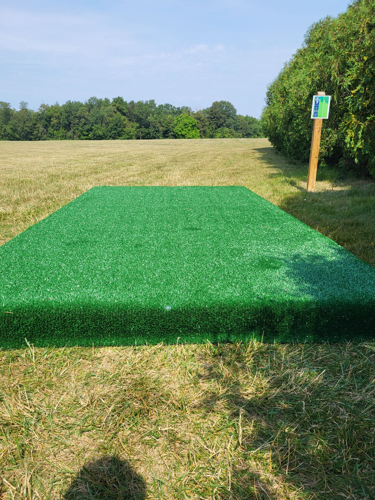 Hole 7 tee