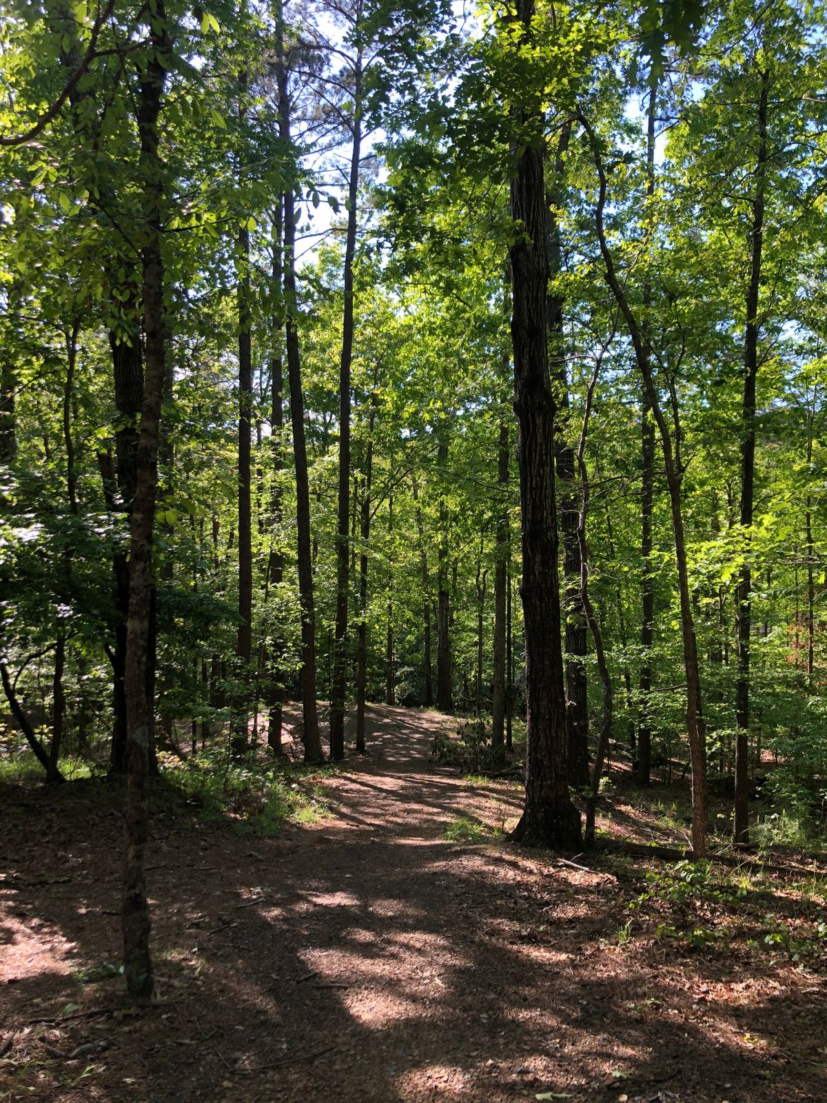 Hole 13