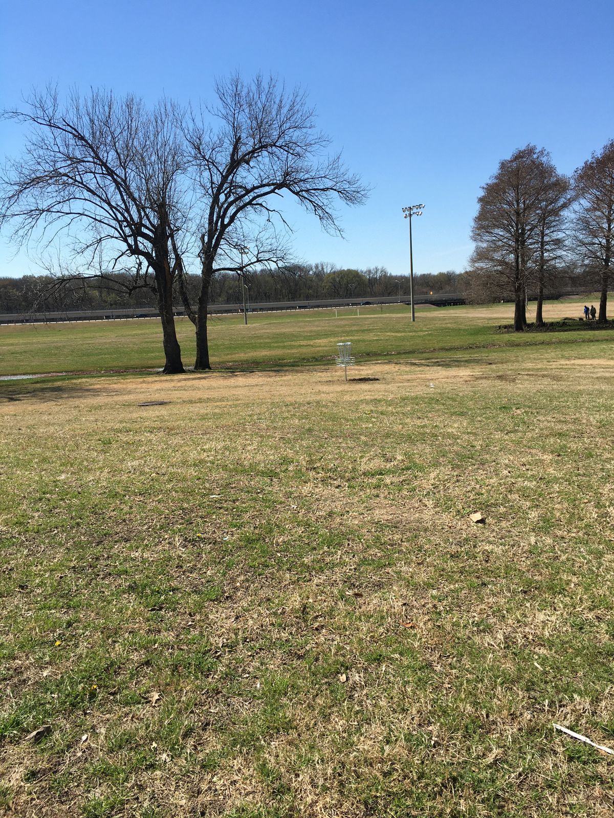 Hole 2, new DGA basket.