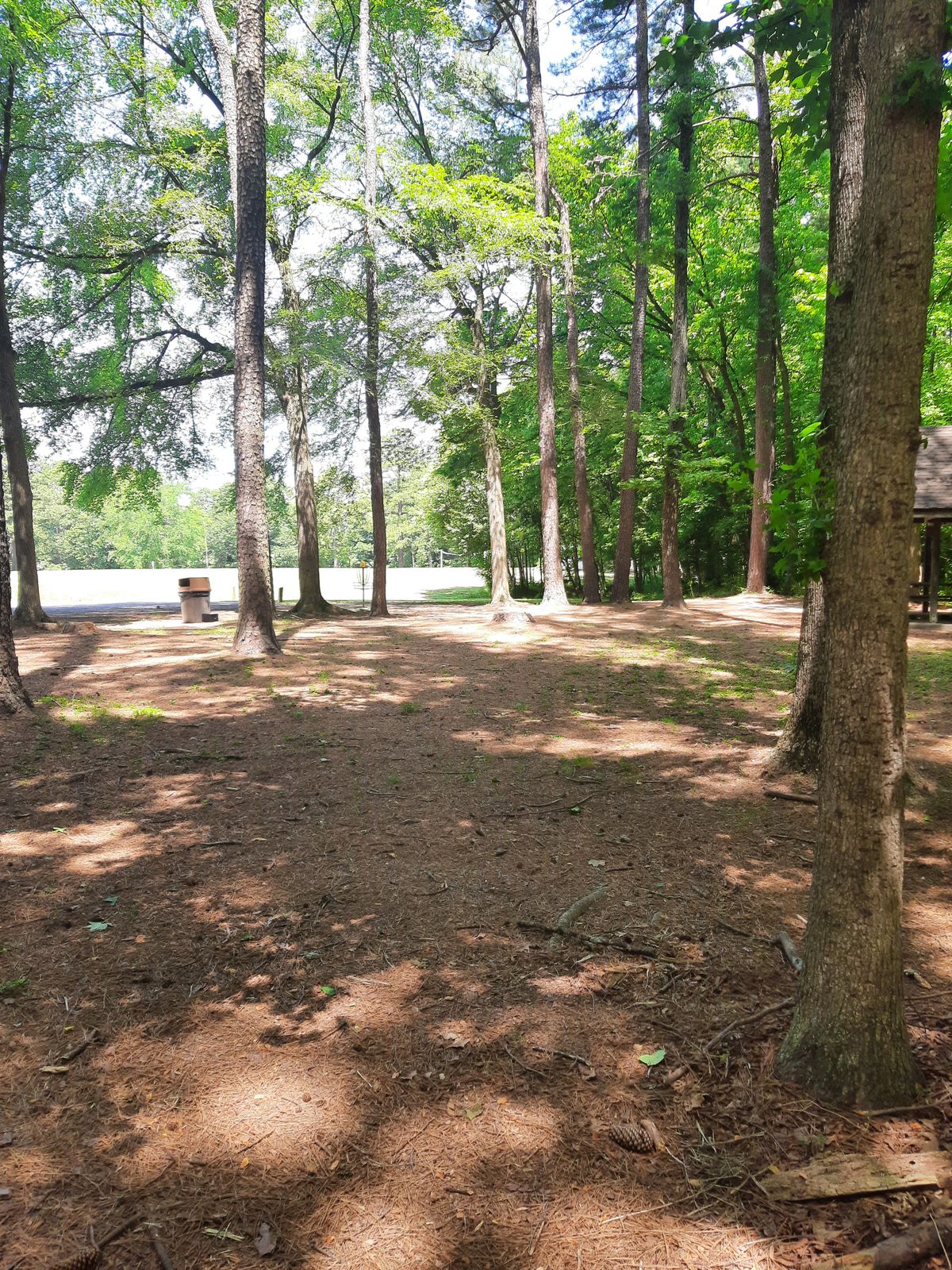 Hole 3 Fairway