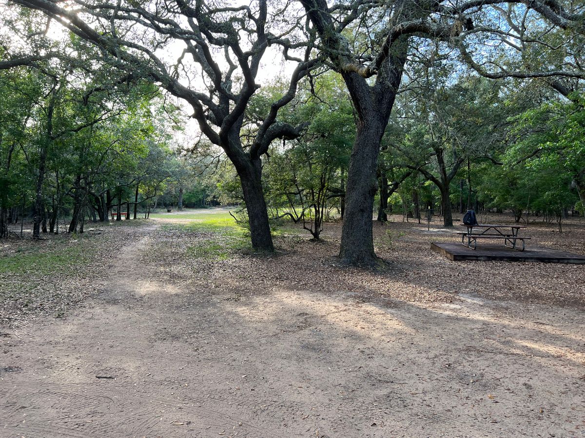 Oaks entrance (near 18 basket)