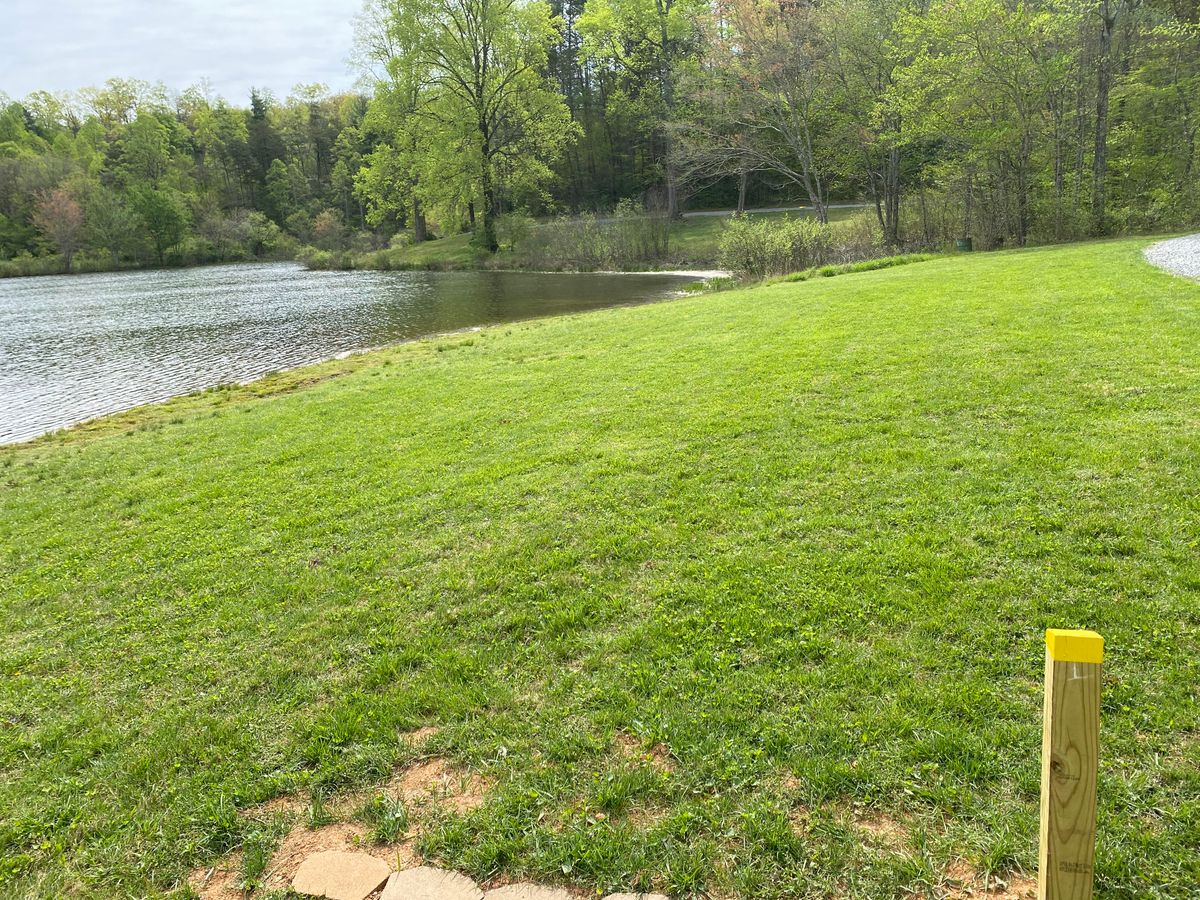 Hole 8. Green behind trees to the right. No route to the right. Will have water carry.