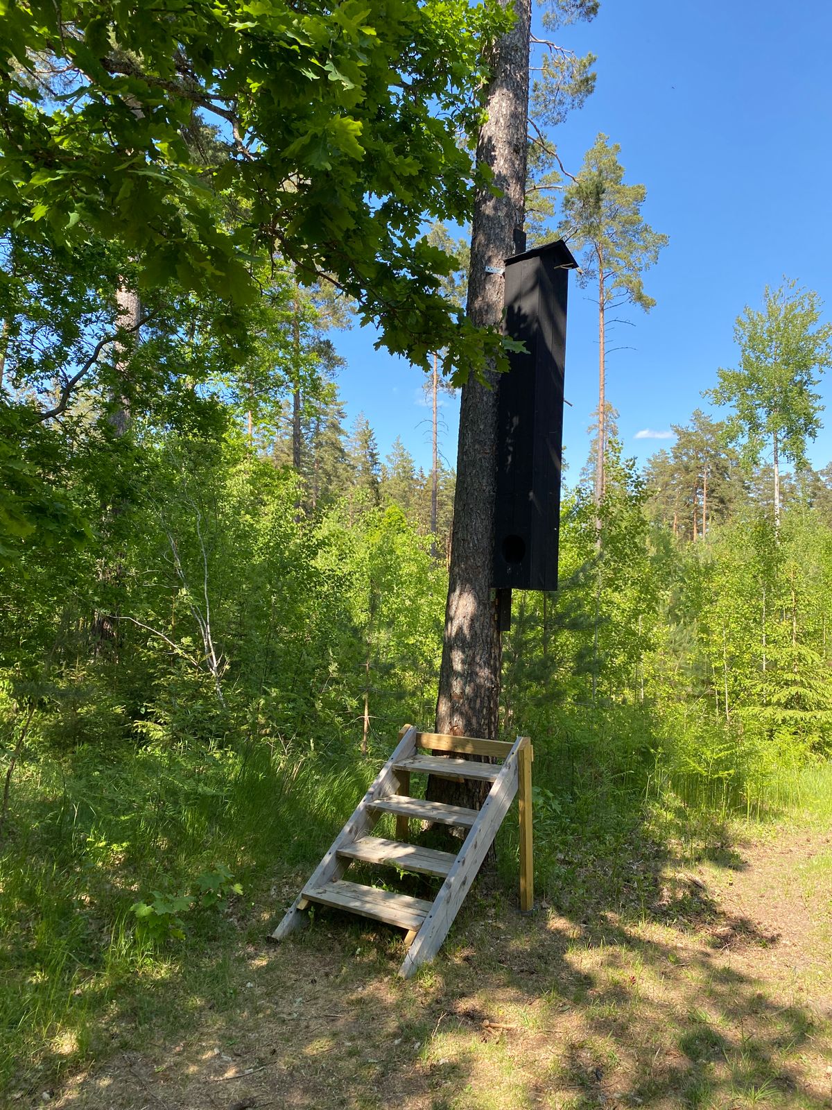 Det patenterade ”Bockarp-periskopet”.