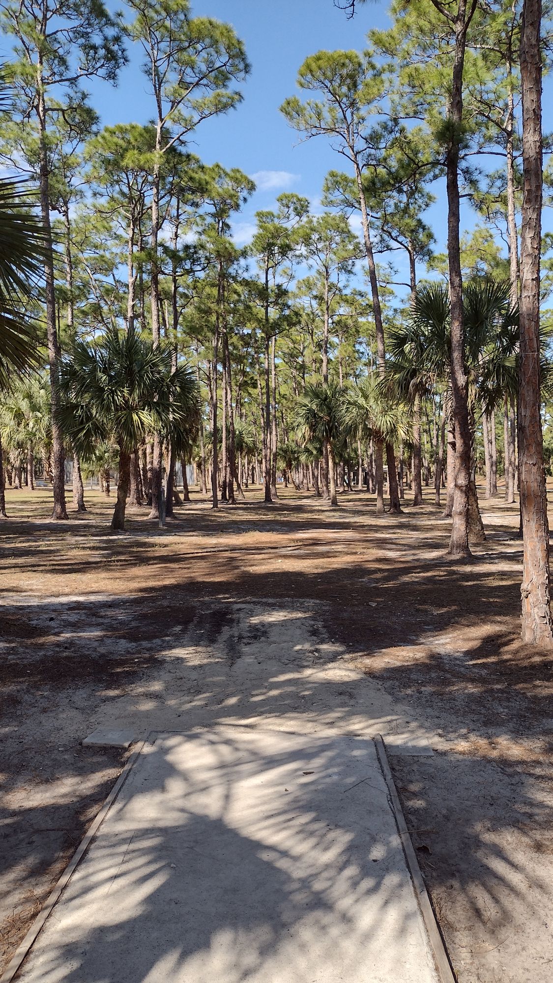 Hole 1, a mostly straight shot with a small fade left at the end. Great wooded fairway!