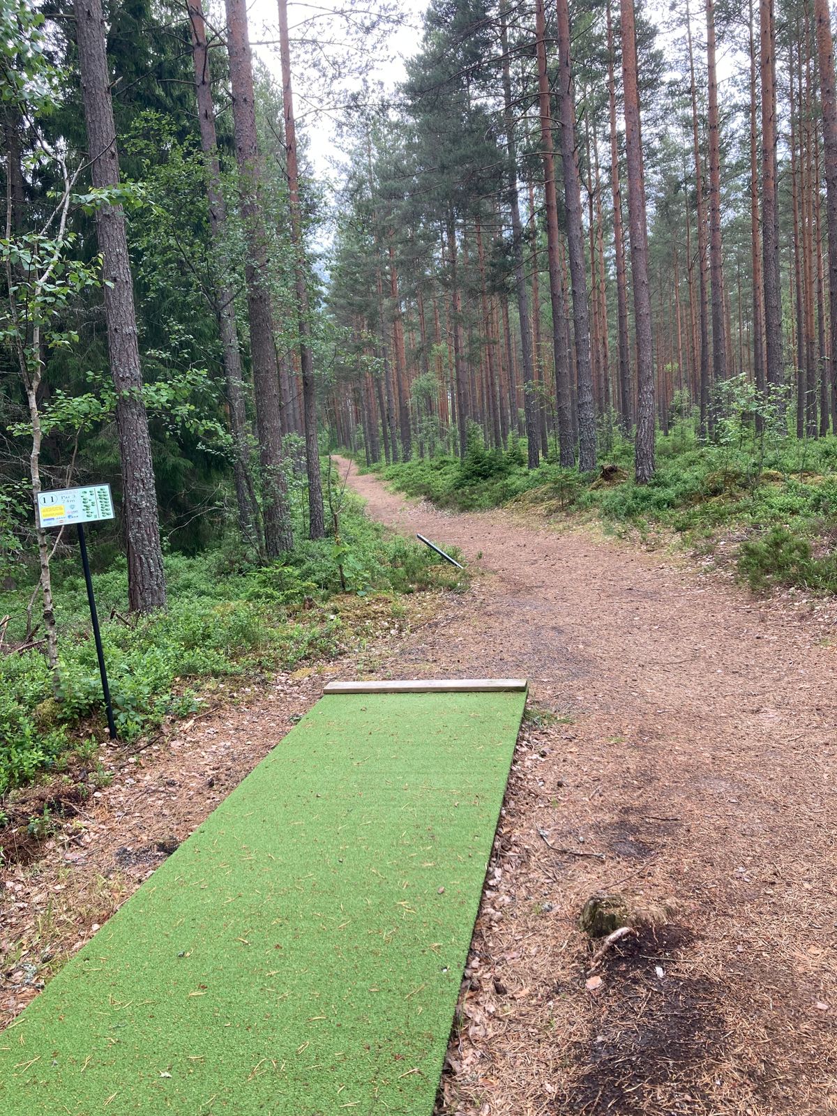 Tee hål 11