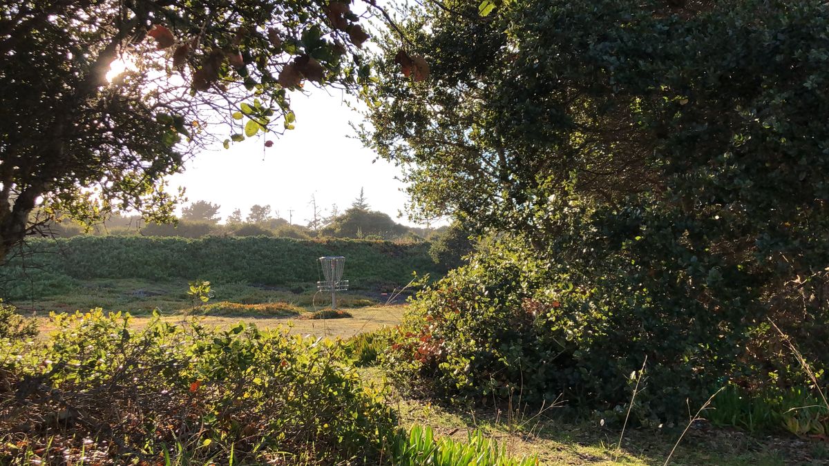 Hole 15's basket.