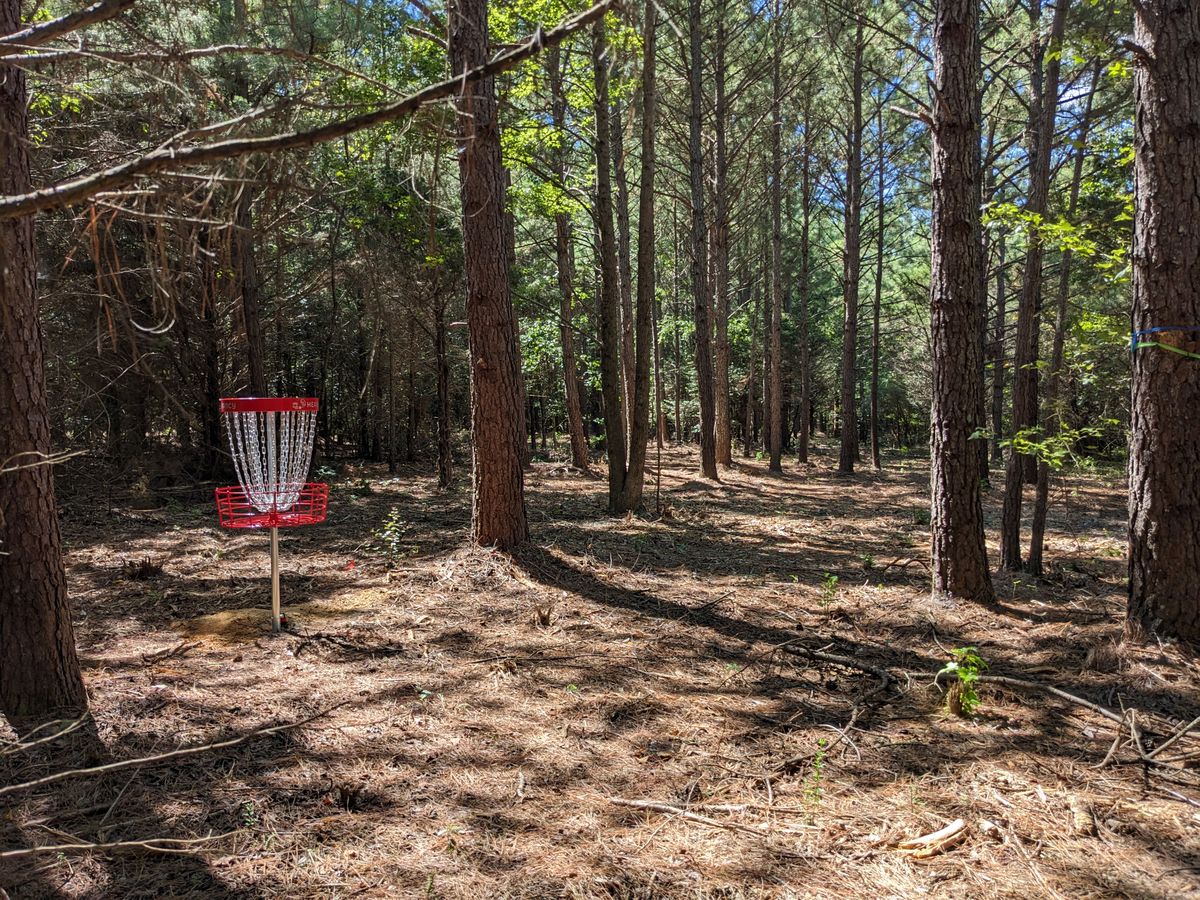 Looking back up Hole 4's fairway