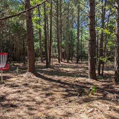 Looking back up Hole 4's fairway