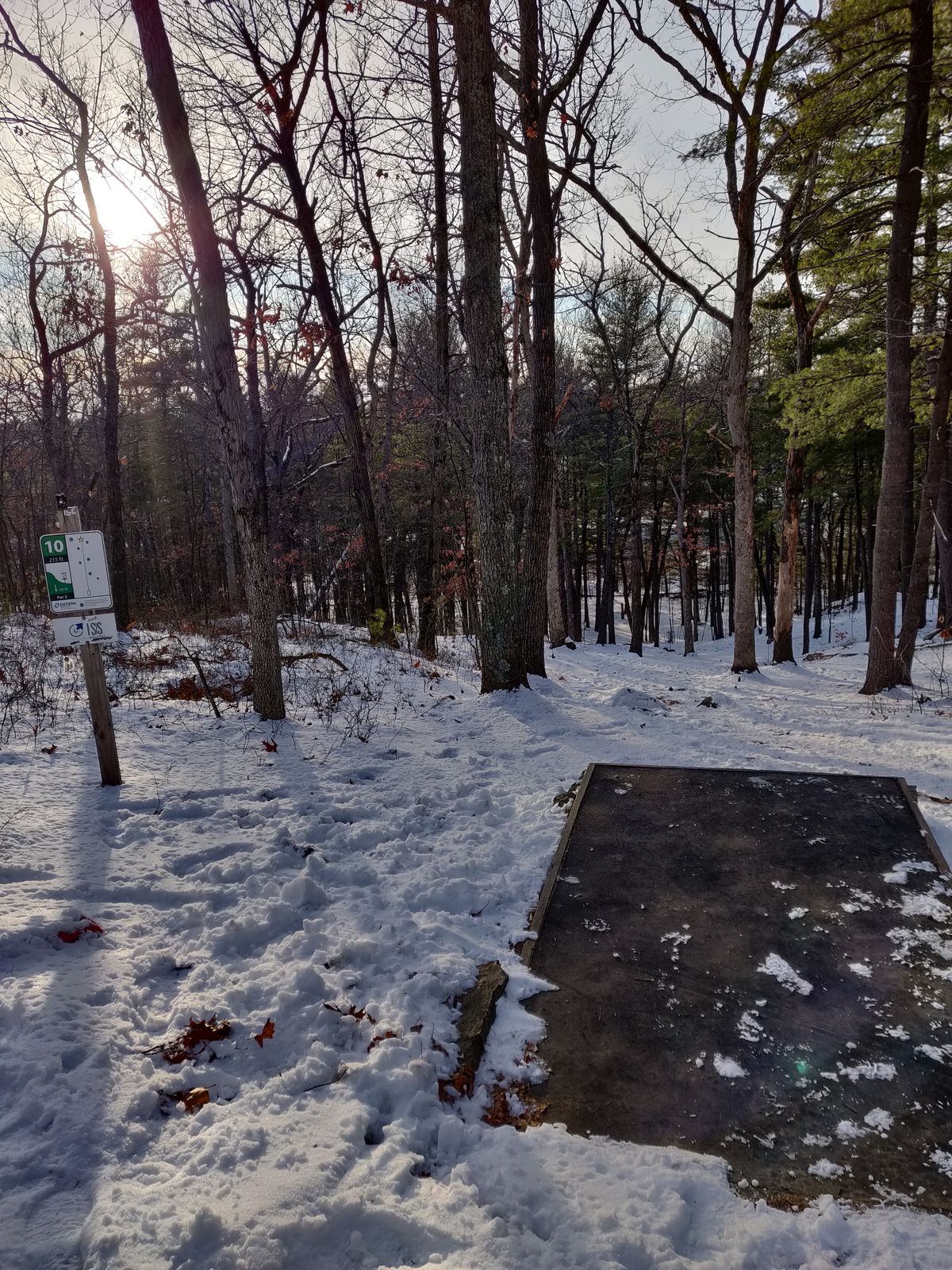 Tee 10