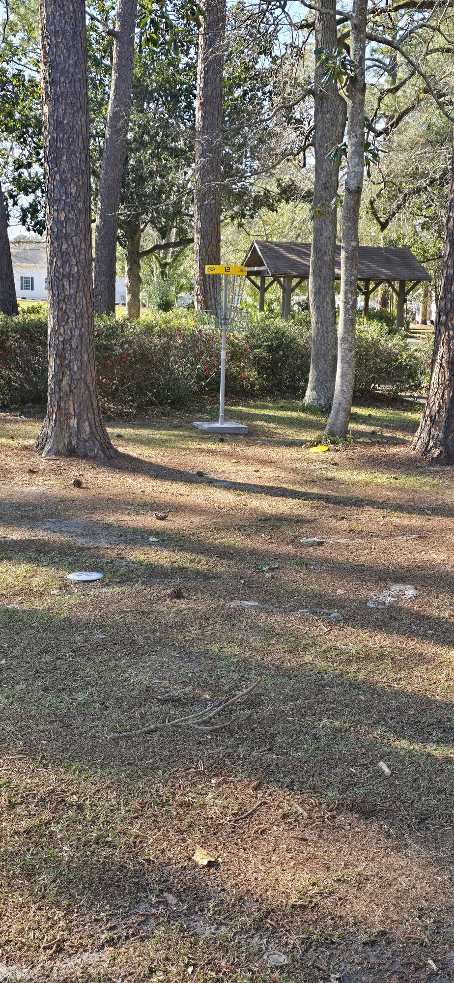 Hole 12 basket