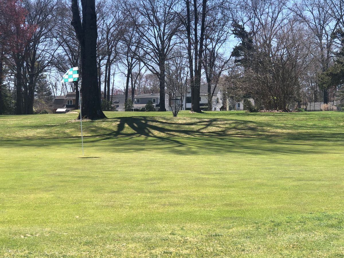 Hole 4 fairway.  Basket in foreground from small tree.
