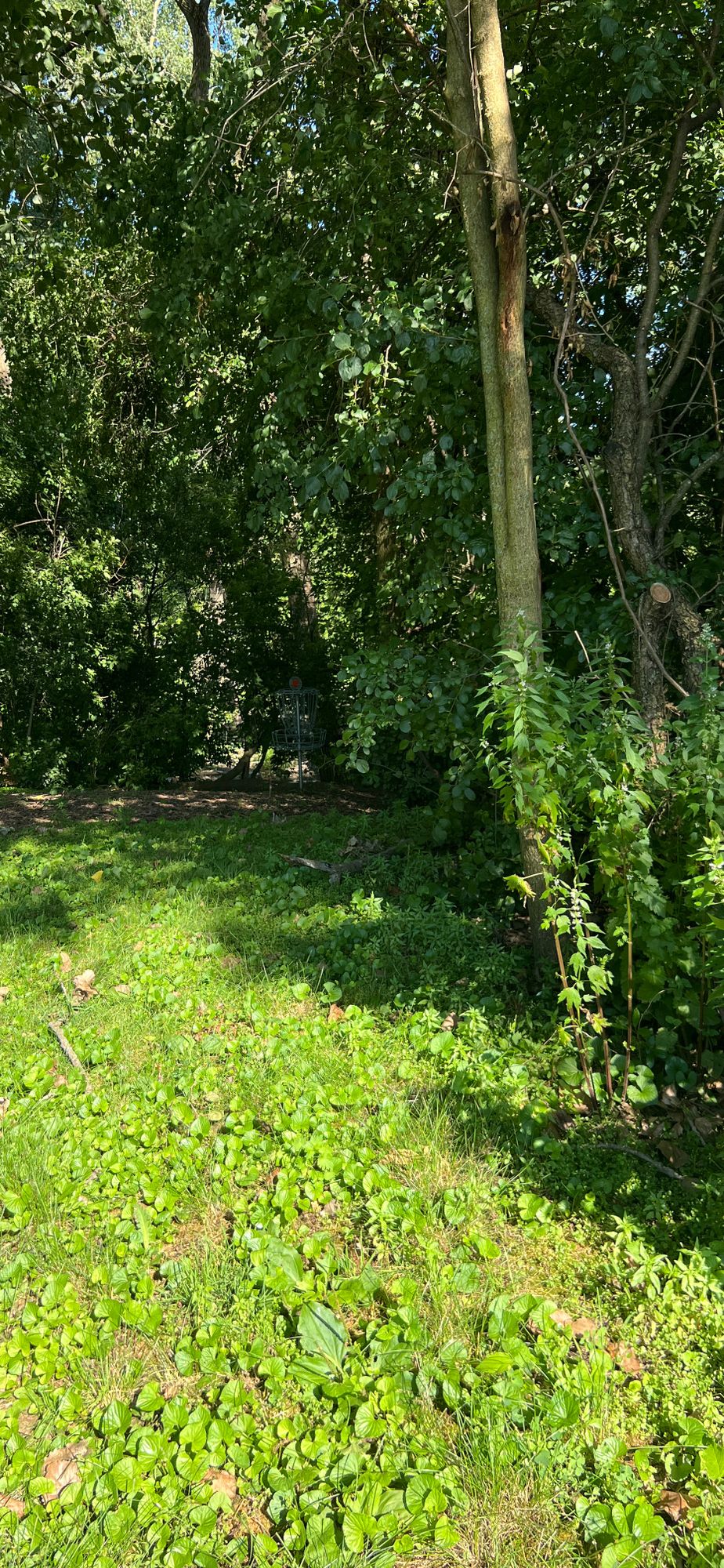 Hole 2 - June 2024