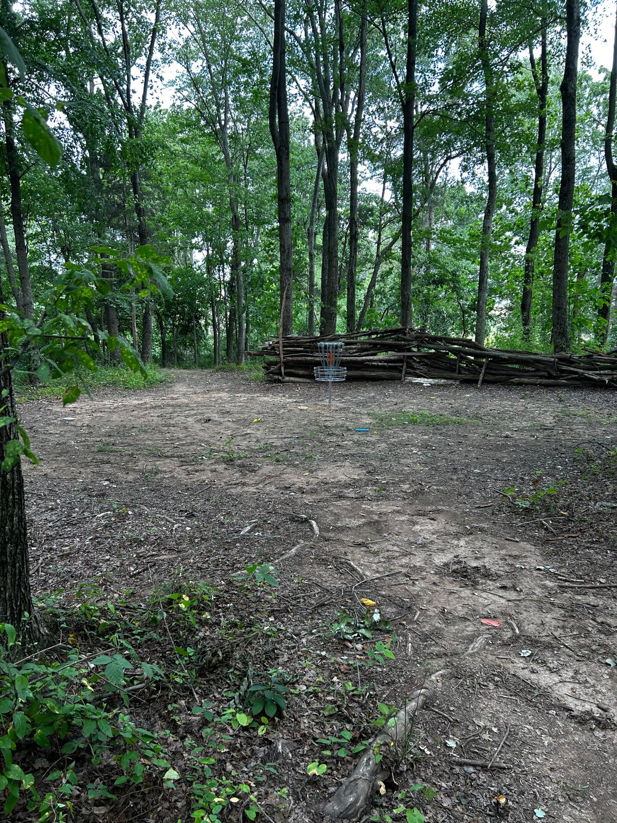 Hole 16