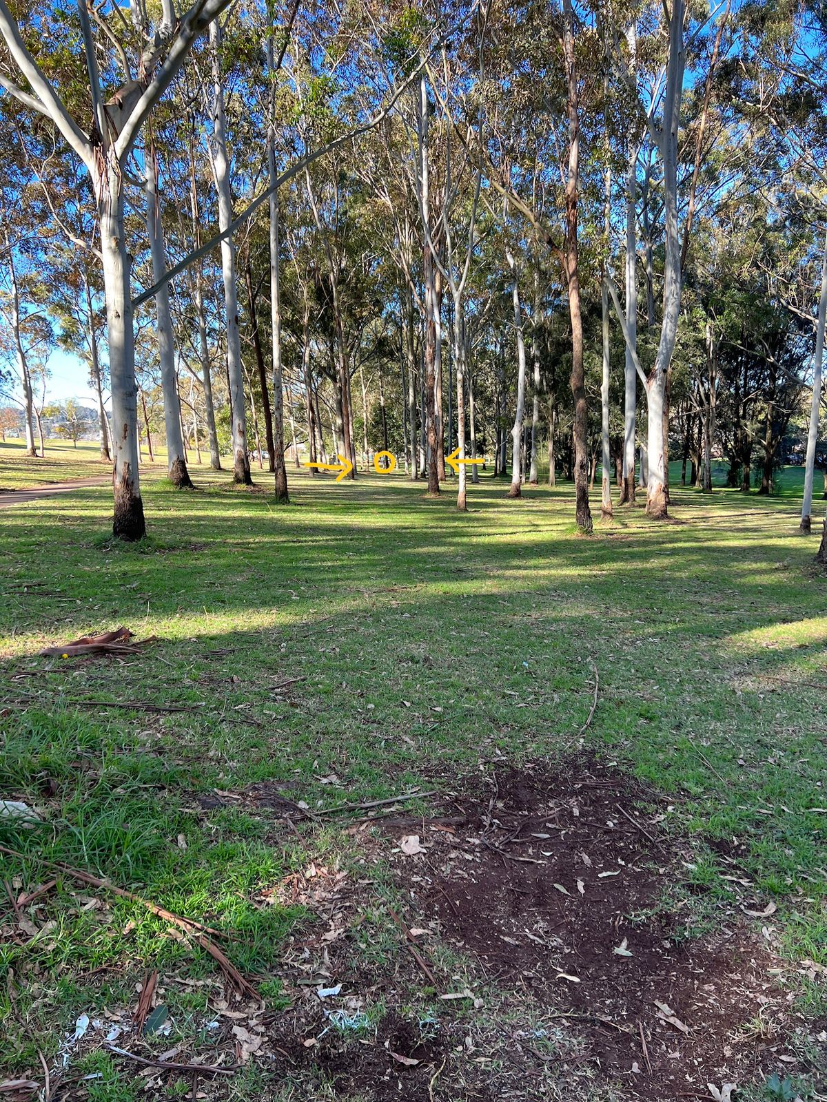 Alt 9 hole 18 with double Mando a fair distance off the tee...requires accurate first shot.