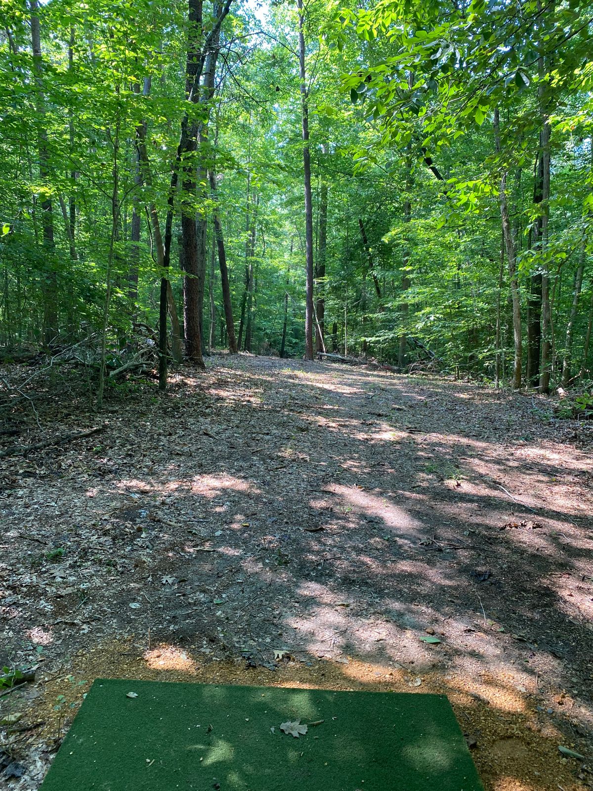 Hole 5 Tee