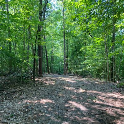 Hole 5 Tee