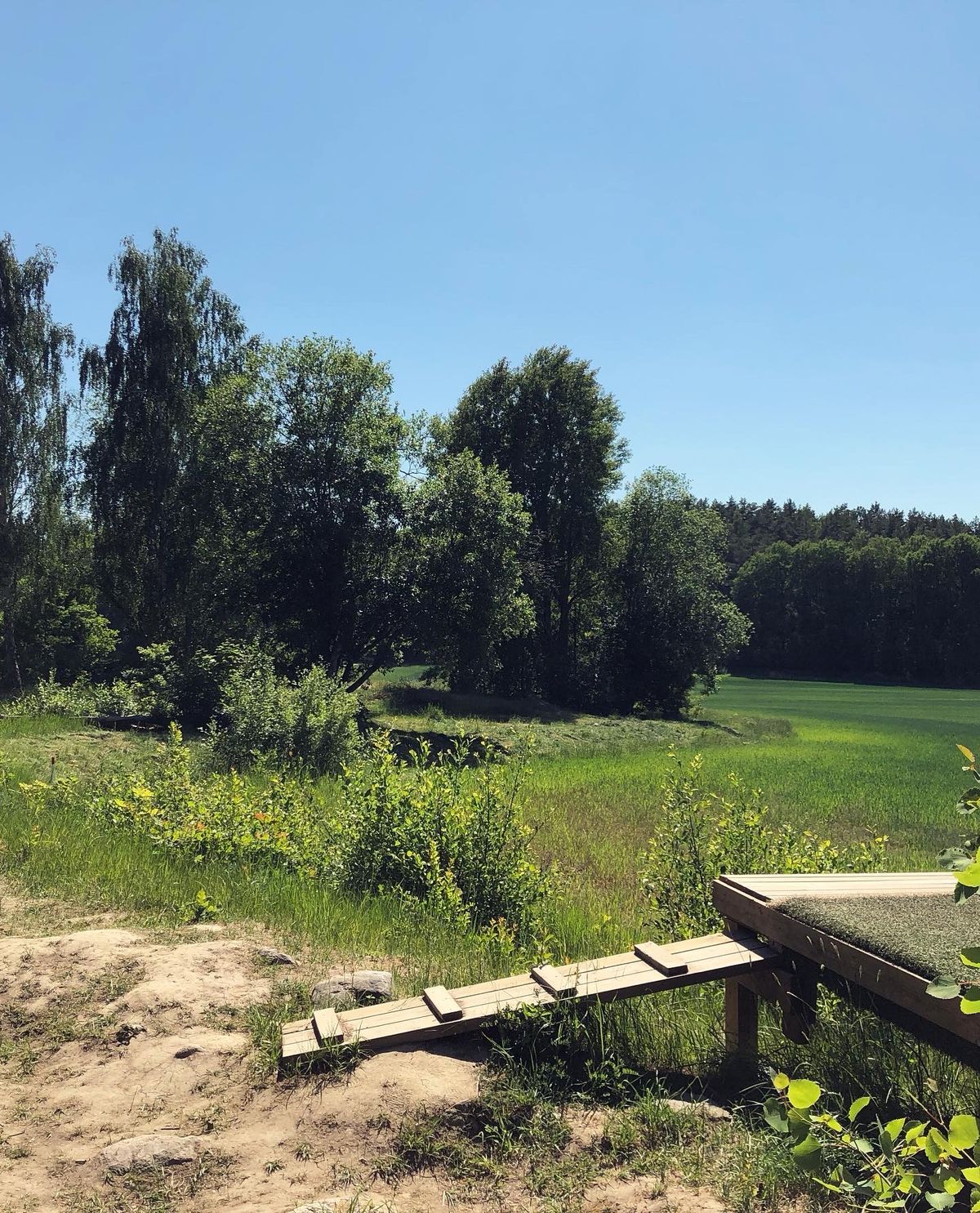 14. Blå