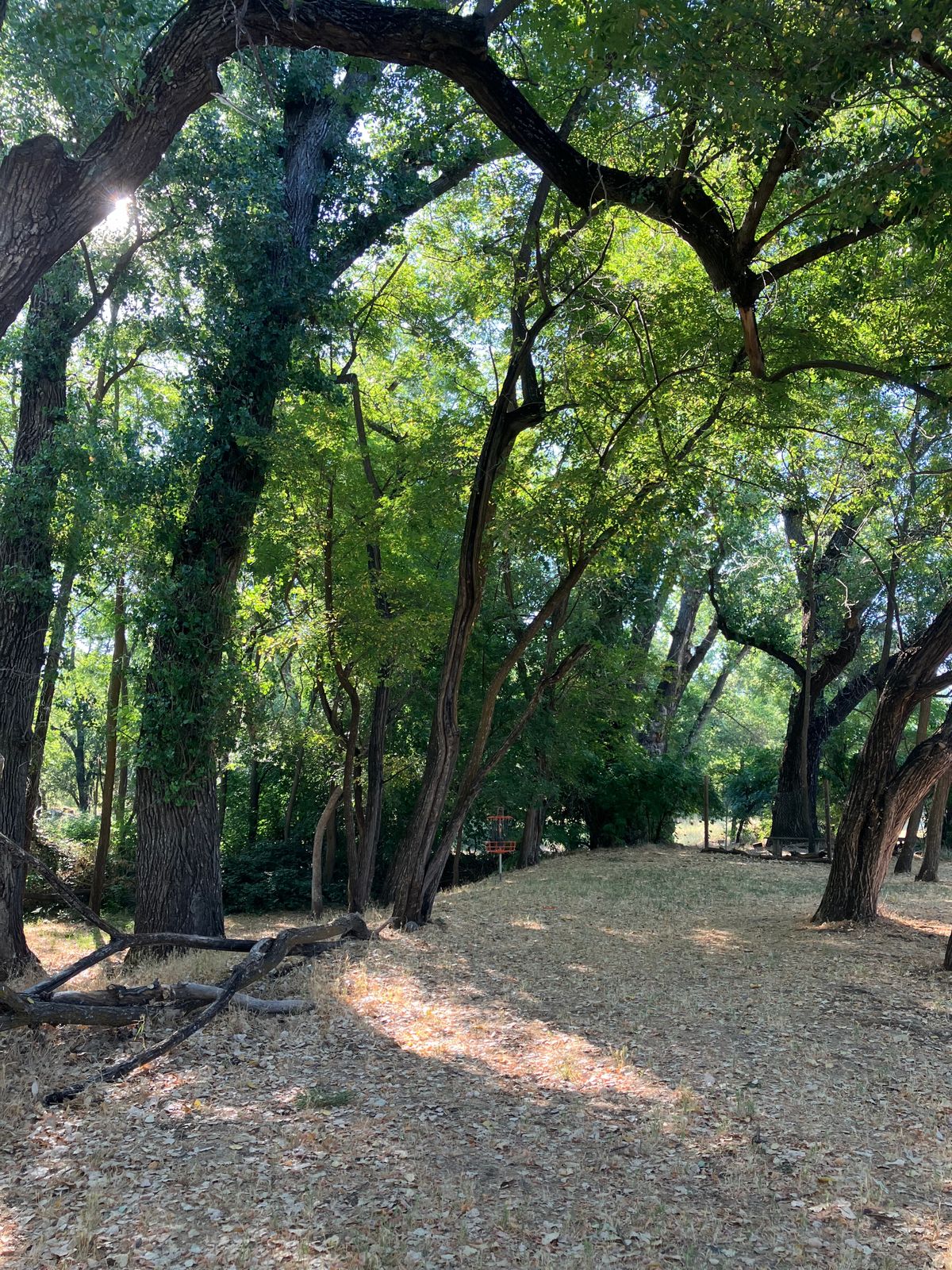 Hole 2