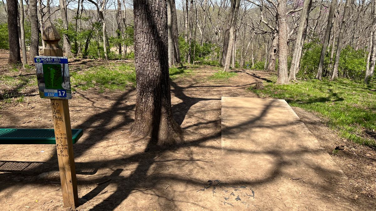 Hole 17