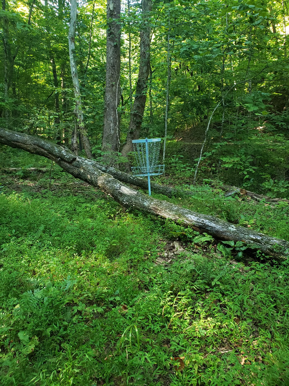 Hole 5