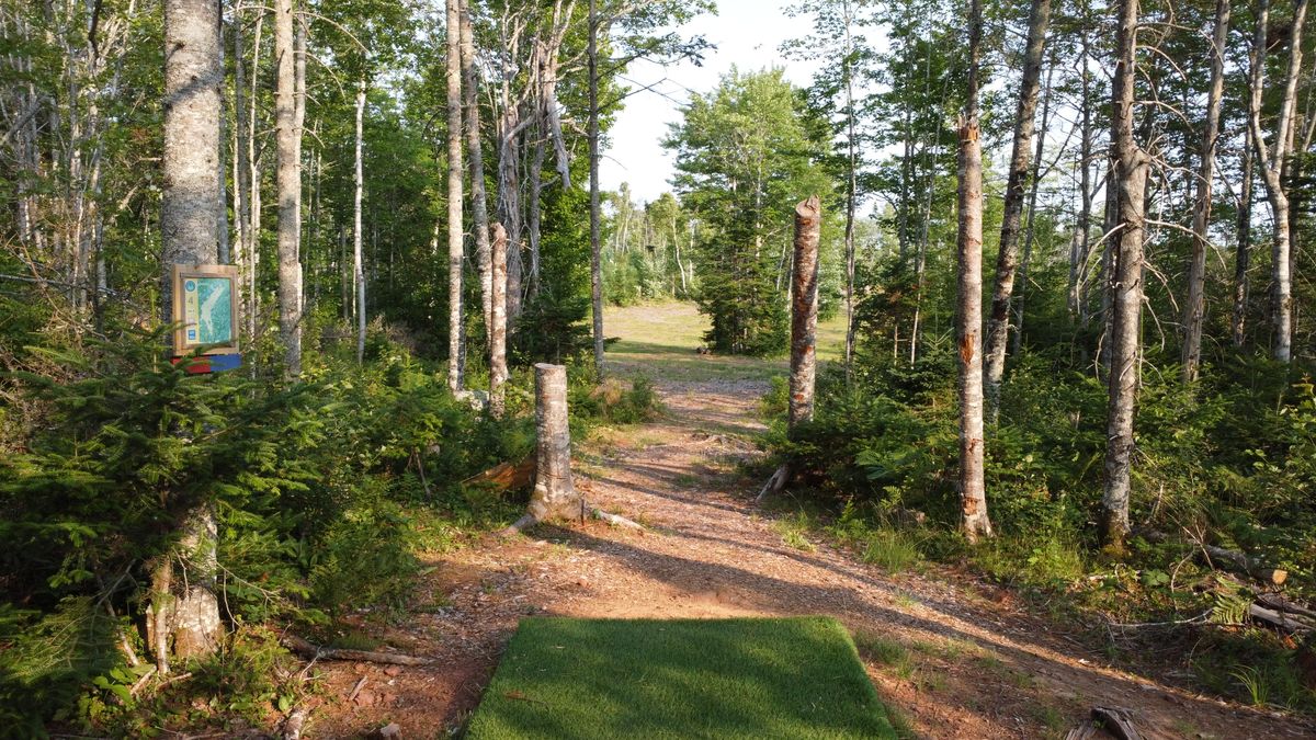 Tee of hole 4.