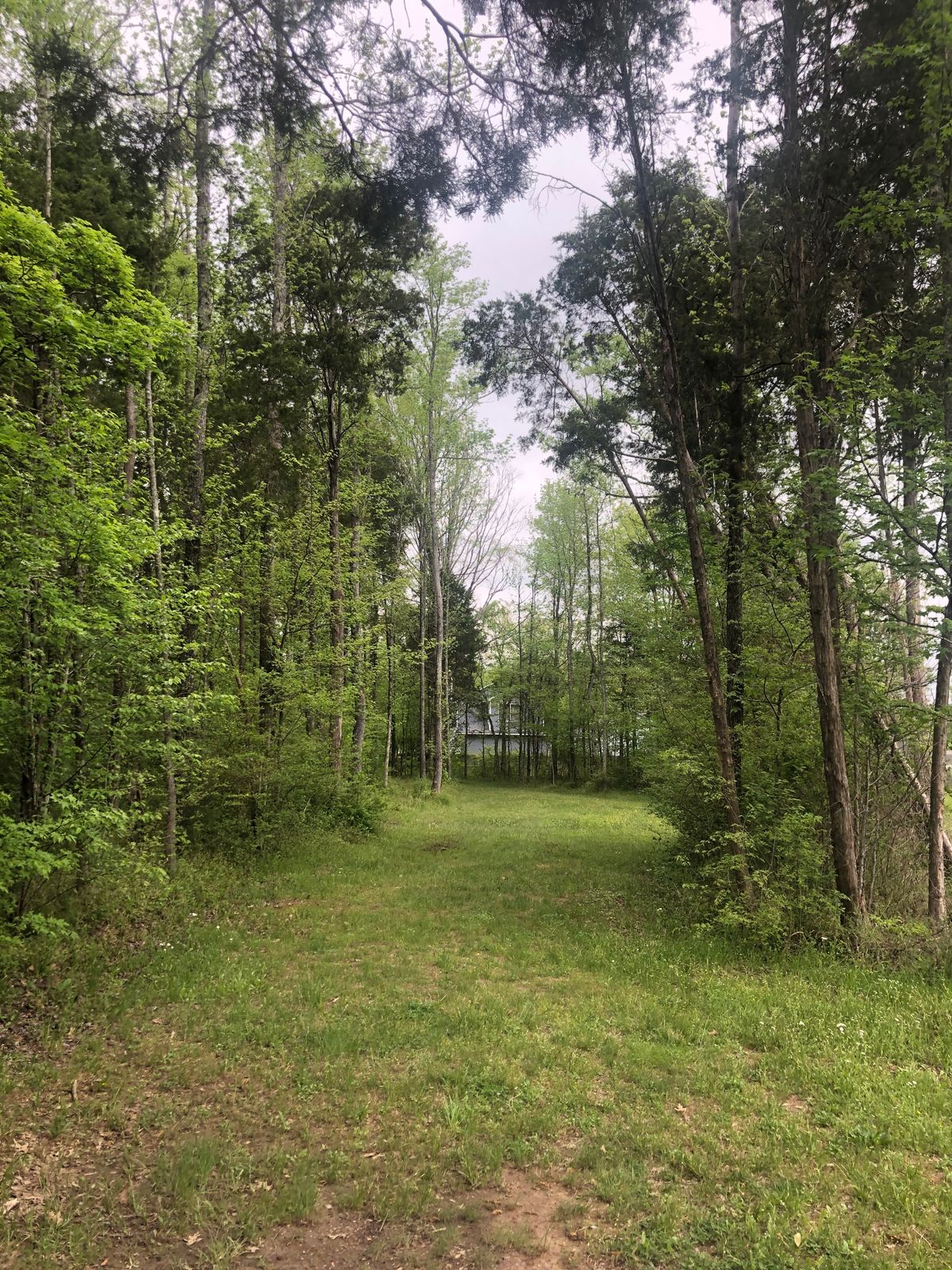Hole 15