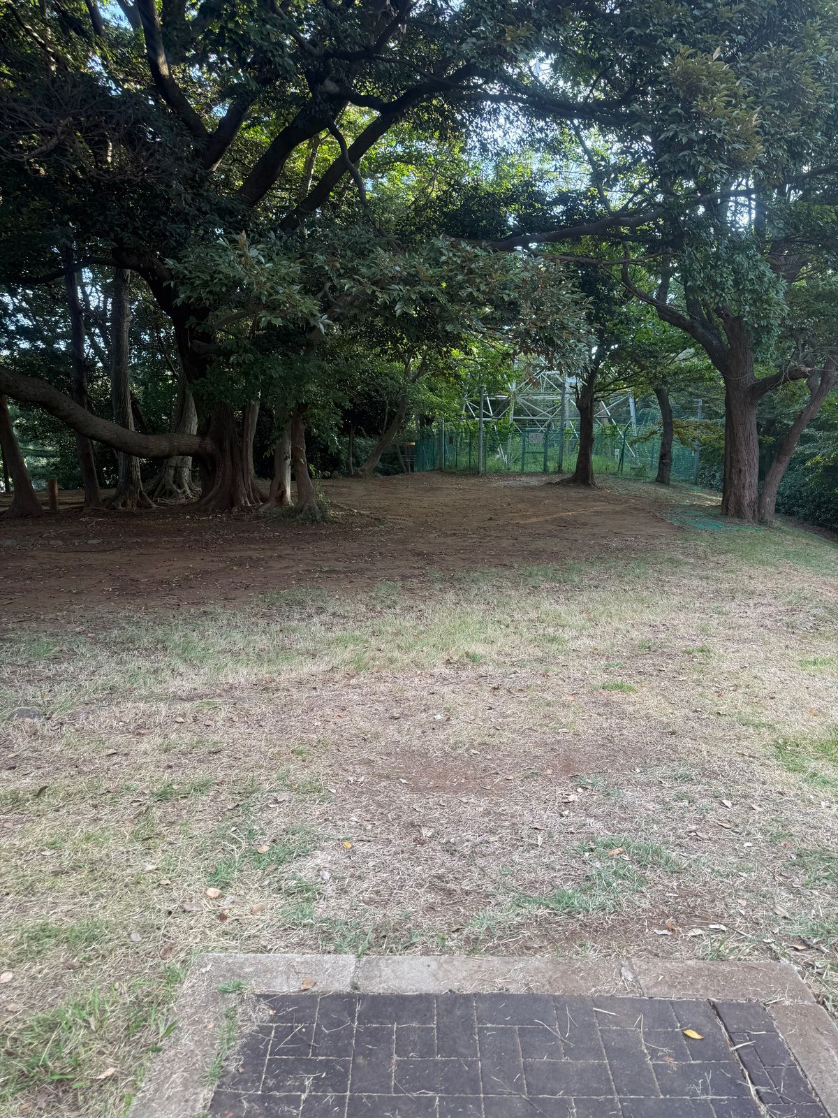 Hole #5