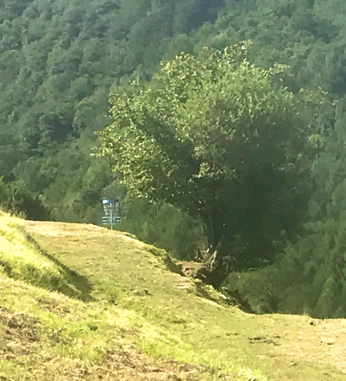 Hole #3