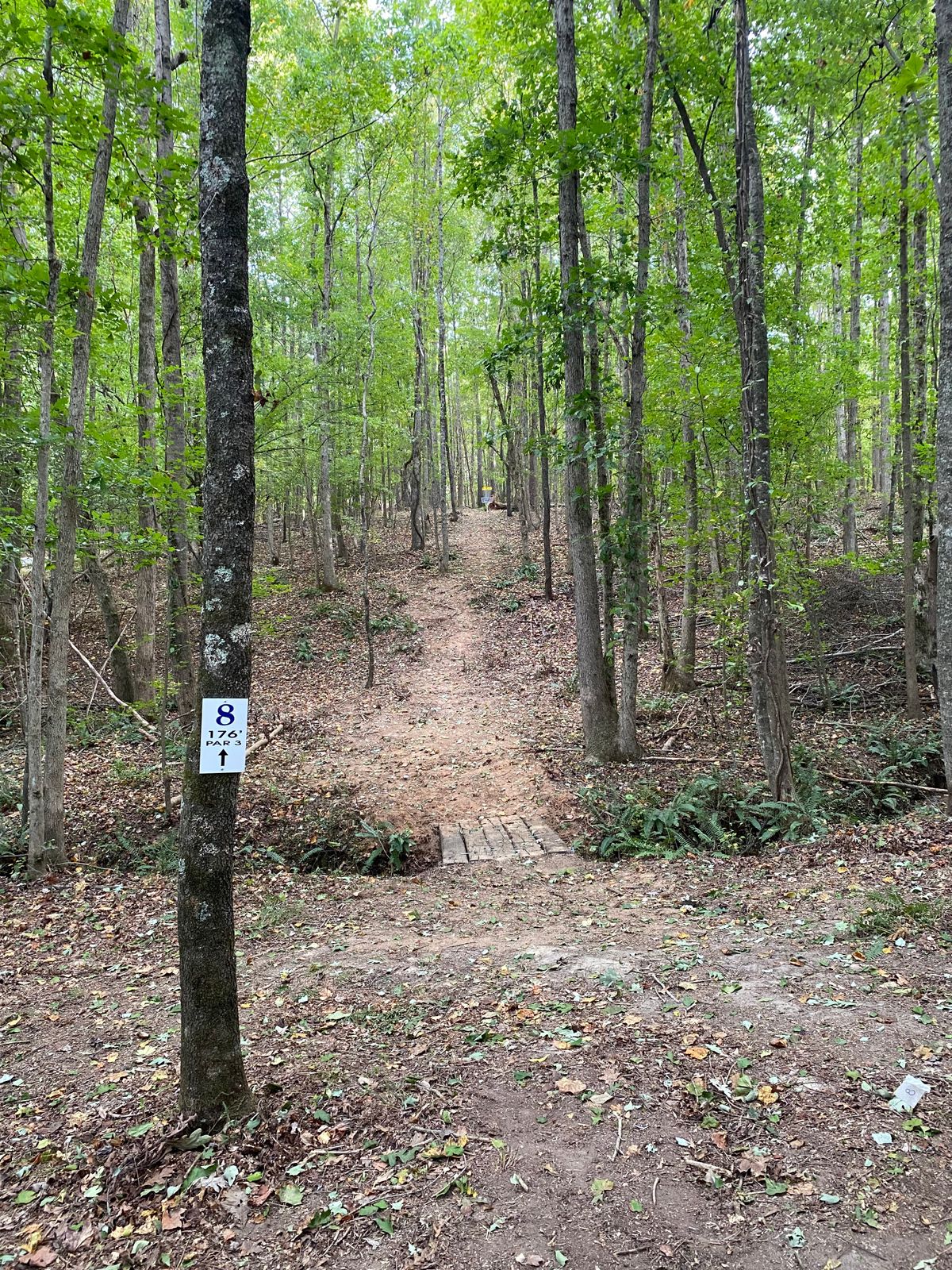 Hole 8 Tee