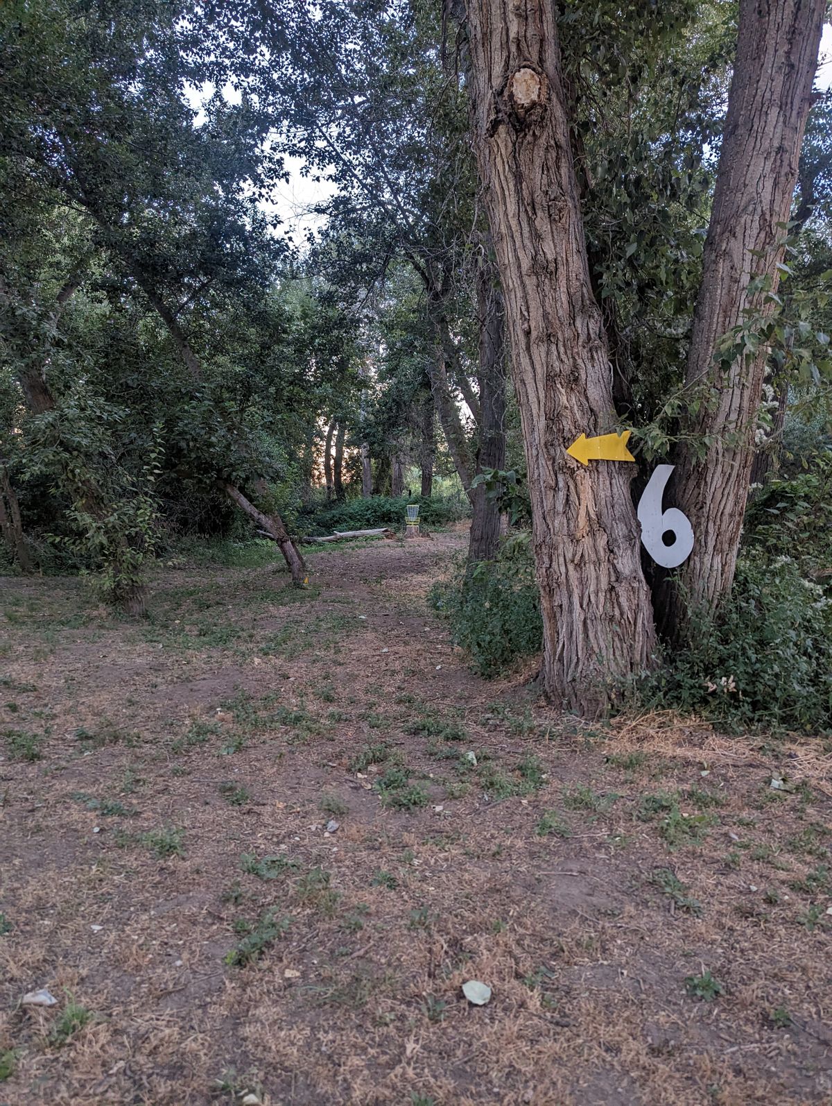 View of right side mando on number 6
