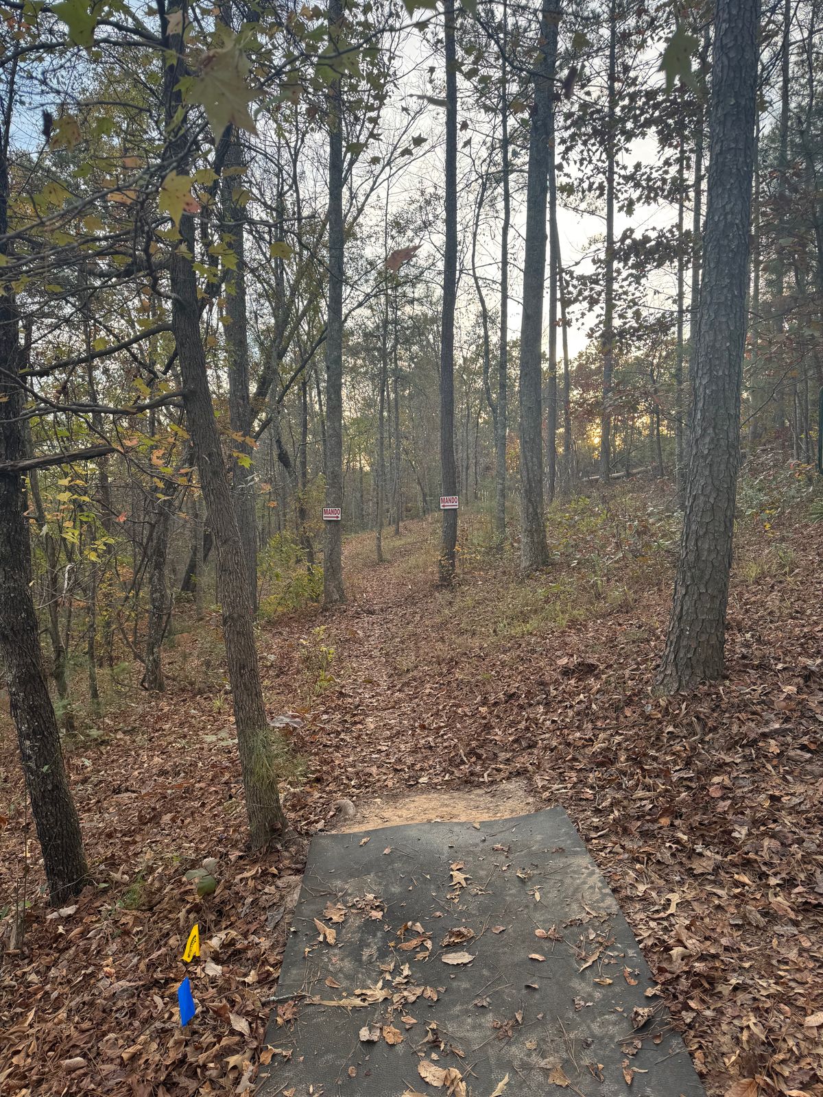 Hole 6 Teepad