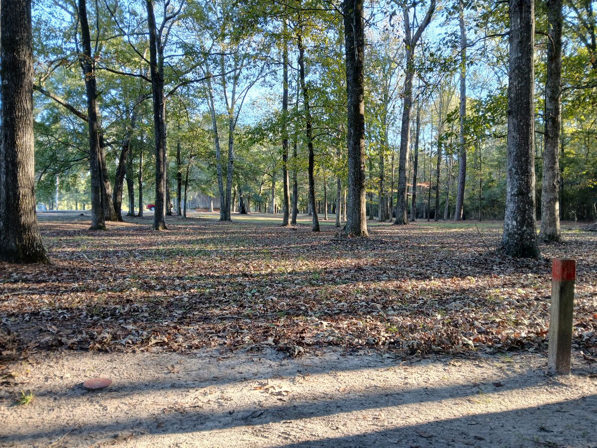 Hole 9 red tee (short)