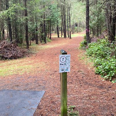 Hole 7