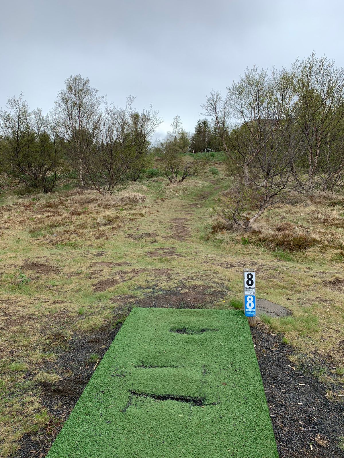 8th hole