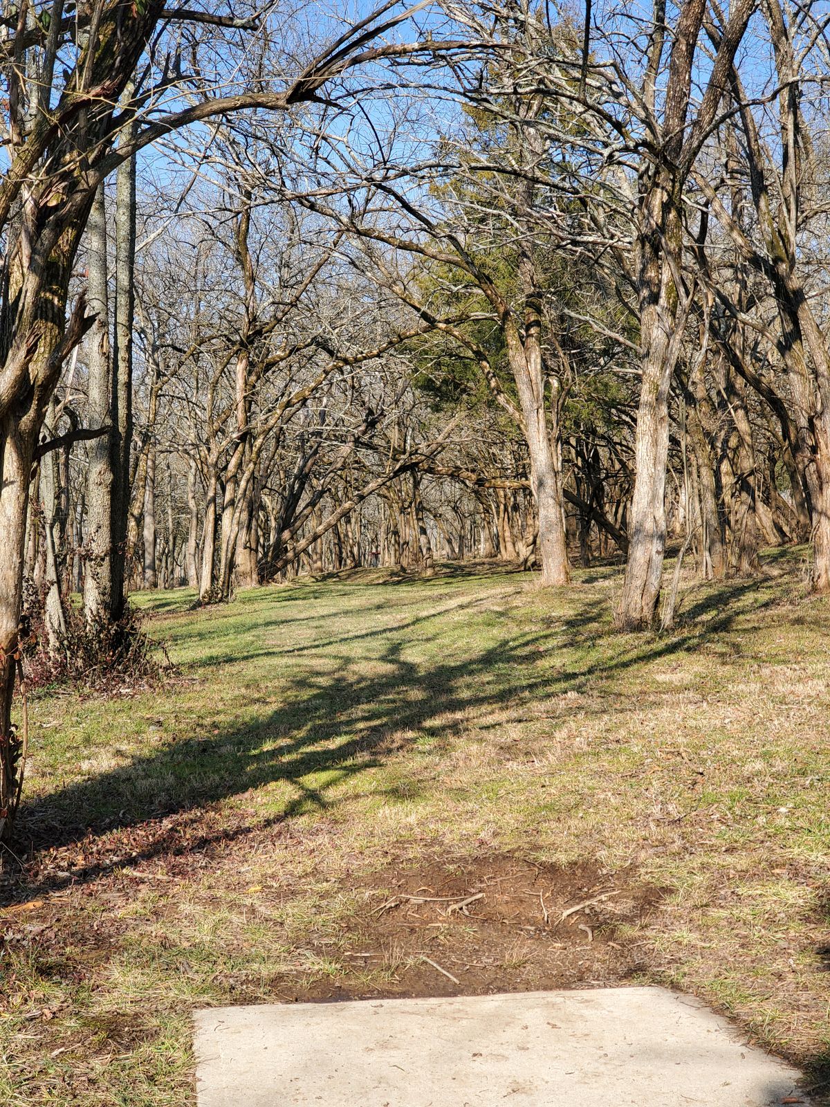 Hole 14 from the tee pad