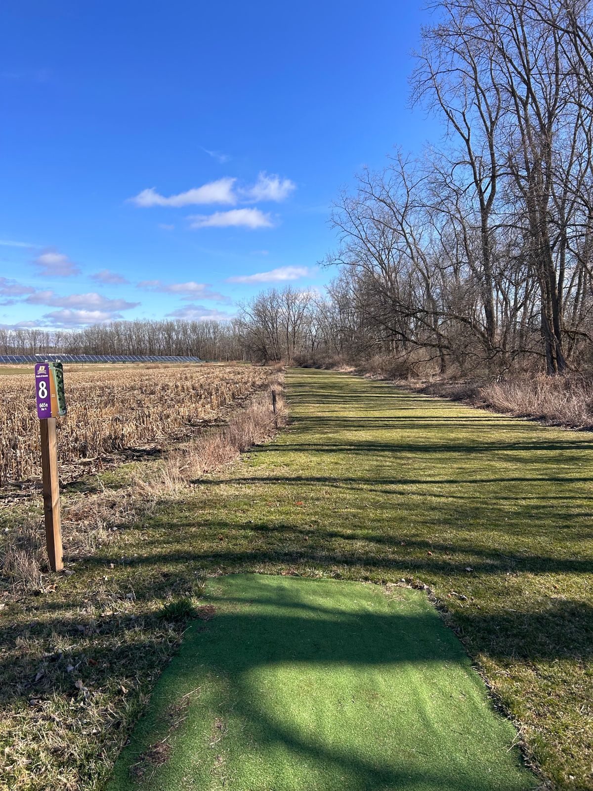 Hole 8 long tee