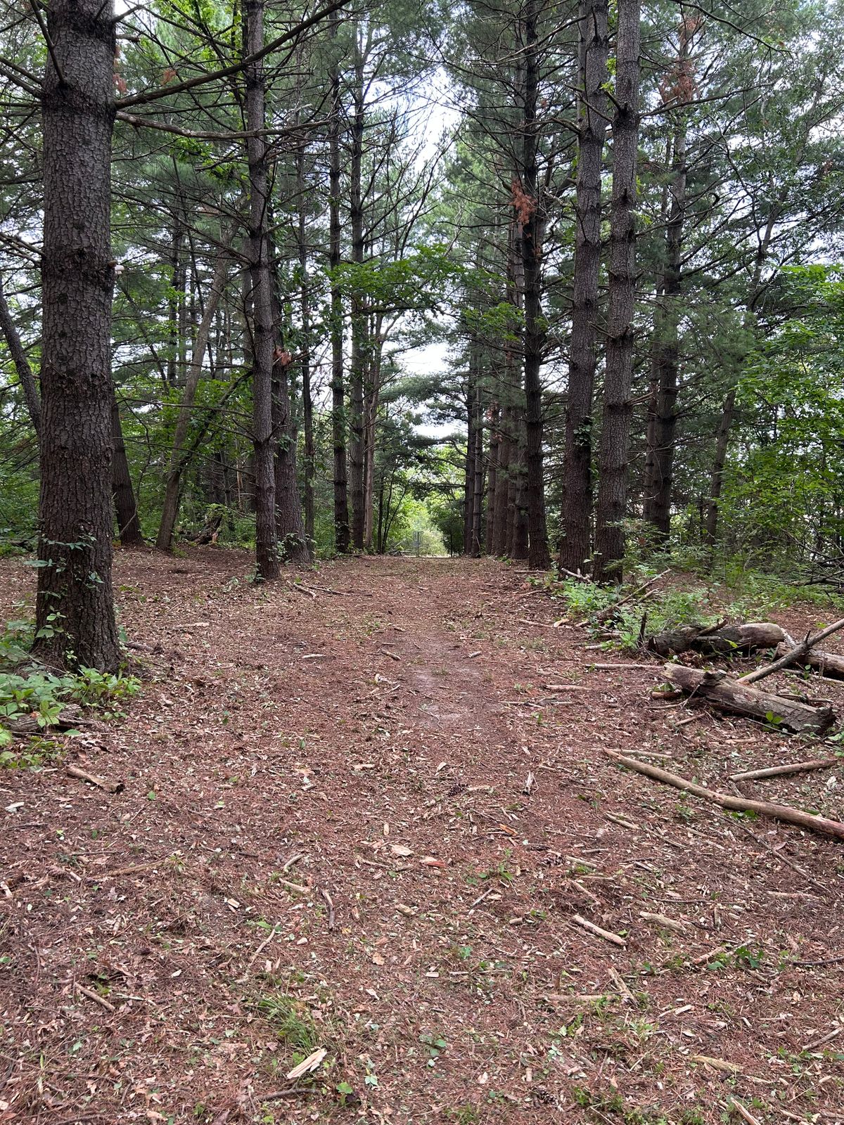 Hole 9 approach