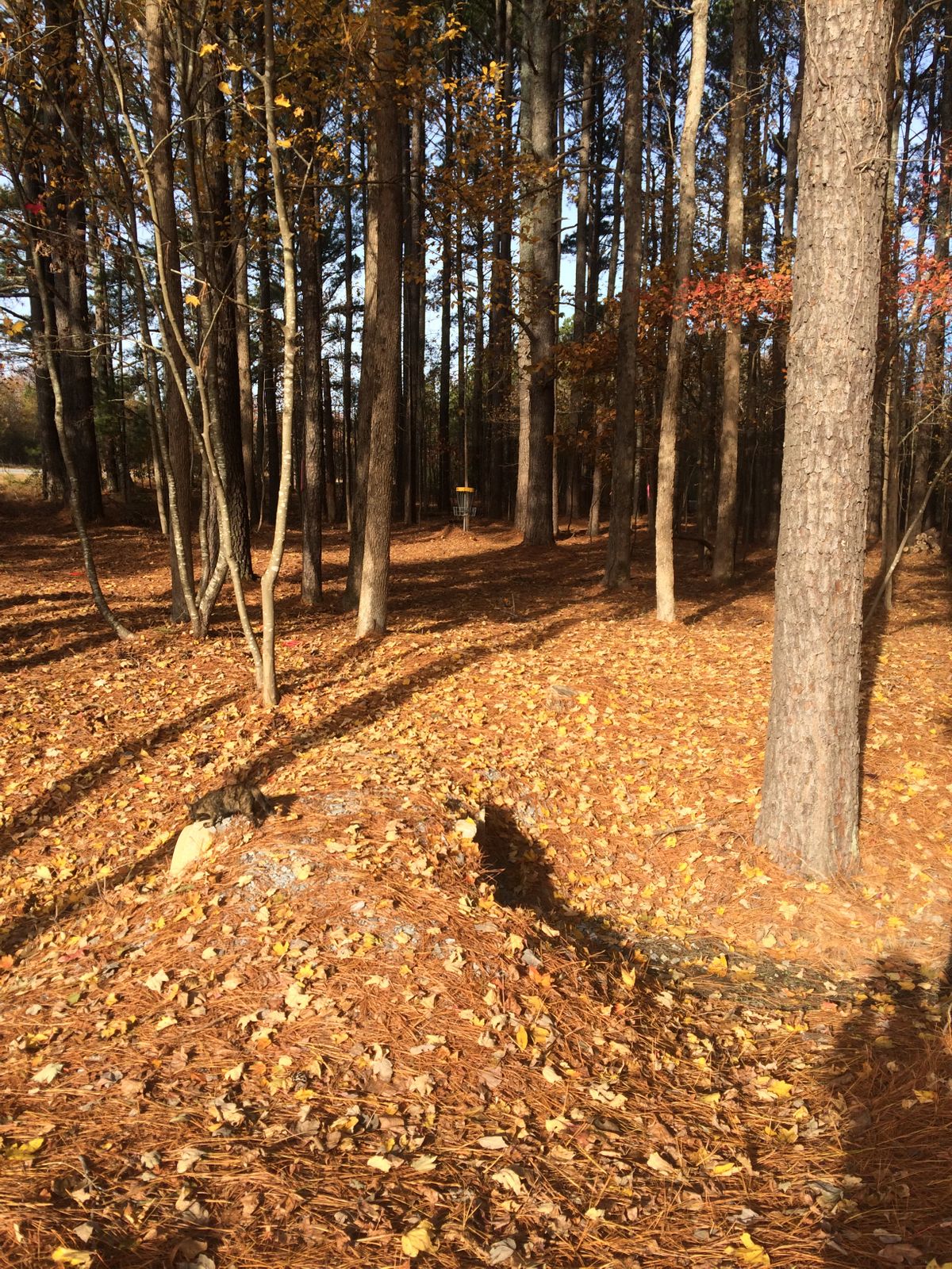 Hole #2 Right Fairway