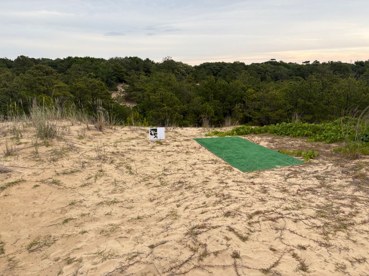 Hole 18 tee